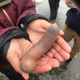 Look at that penis fish.